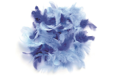 Image of Deco-Federn blau-sortiert 2g ca. 30 Stück bei JUMBO
