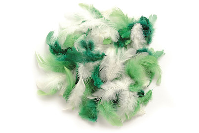 Image of Deco-Federn grün-sortier 2g ca. 30 Stück bei JUMBO