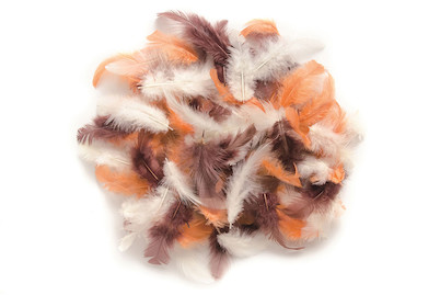 Image of Deco-Federn braun Mix 2 g ca. 30 Stück bei JUMBO