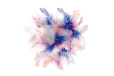 Image of Deco-Federn pastell Mix 2 g ca. 30 Stück bei JUMBO