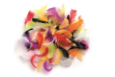 Image of Deco-Federn multicolor 2g ca. 30 Stück bei JUMBO