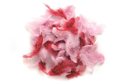 Image of Deco-Federn rosa-sortiert 10 g bei JUMBO