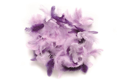 Image of Deco-Federn lila-sortiert 10 g bei JUMBO