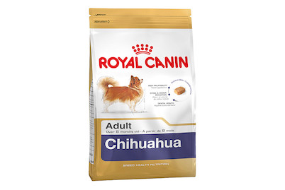 Image of Chihuahua 1.5 kg