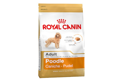 Image of Poodle 1.5 kg bei JUMBO