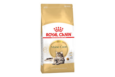 Image of Maine Coon 2 kg bei JUMBO