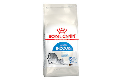 Image of Indoor 2 kg bei JUMBO