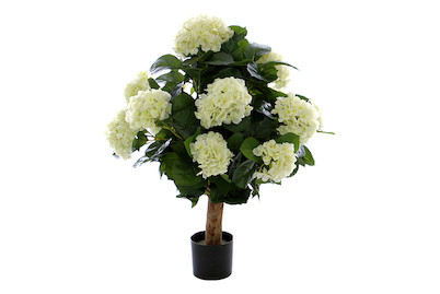 Image of Luwatex Hydrangea crème bei JUMBO