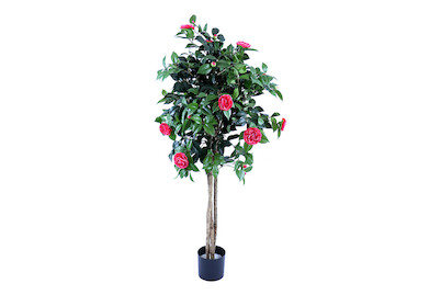 Image of Luwatex Camelia rosa bei JUMBO