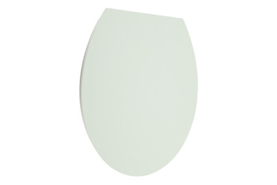 Image of WC-Sitz Hollywood Slow Down sage bei JUMBO