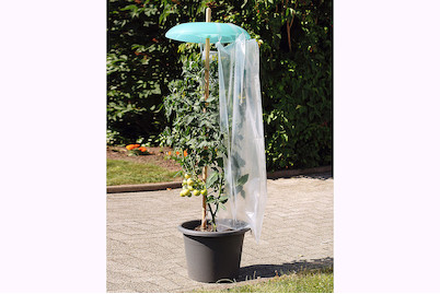 Image of Erweiterungsset für Tomatenhut bei JUMBO