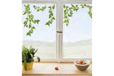 Image of Window Sticker Efeu bei JUMBO