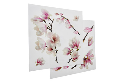 Image of Window Sticker Magnolia
