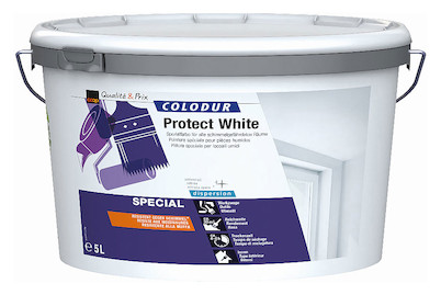Image of Colodur Protect White 5l bei JUMBO