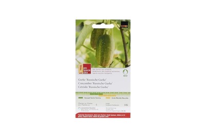 Image of ProSpecieRara Bio Russische Gurken bei JUMBO