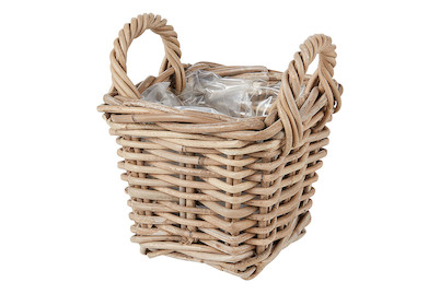 Image of Home and More Korb bepflanzbar Bronte 16x16 cm bei JUMBO