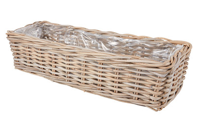 Image of Home and More Korb bepflanzbar Bronte 60x20x15 cm bei JUMBO