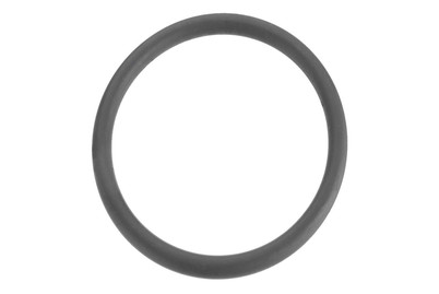 Image of O-Ring f.Waschtisch Excenterstopfen 33x3
