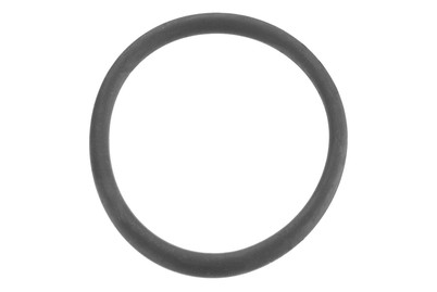 Image of O-Ring f.Waschtisch Excenterstopfen 32x3