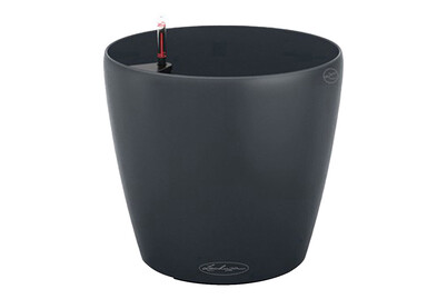 Image of Lechuza Classico Color 28 grau bei JUMBO