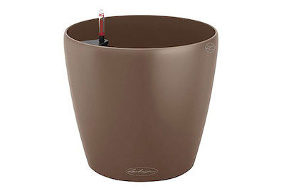 Image of Lechuza Classico Color 21 muskat bei JUMBO