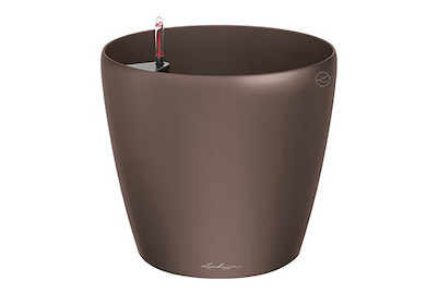 Image of Lechuza Classico Color 28 muskat bei JUMBO