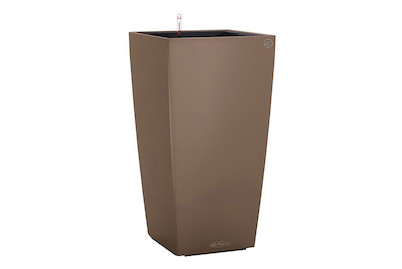 Image of Lechuza Cubico Color 30 muskat bei JUMBO