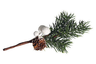 Image of Deko Zweig mit weissen Beeren, 18cm bei JUMBO