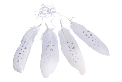 Image of Deko-Feder weiss mit Sterne, 15-17cm, m.Kordel, SB-Btl 4Stück bei JUMBO