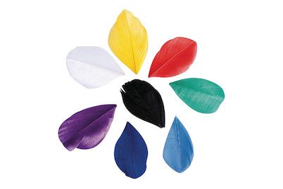 Image of Federn geschnitten, 5-6cm, SB-Btl 36Stück bei JUMBO