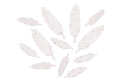 Image of Holz-Federn weiss, 7+4cm sortiert, SB-Btl 12Stück bei JUMBO