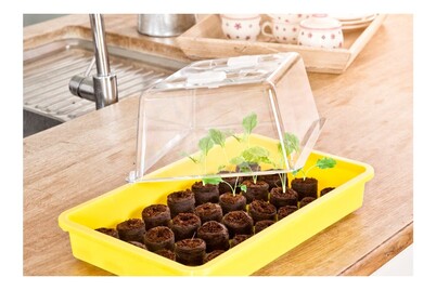 Image of Windhager Haube zu Aussaatschale bei JUMBO