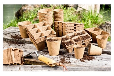 Image of Windhager Anzuchttöpfe 8 cm rund bei JUMBO