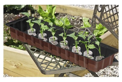 Image of Windhager Fensterbank-Treibhaus mit 30 Anzuchttöpfen bei JUMBO