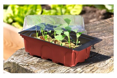 Image of Windhager Zimmer-Treibhaus mit 8 Quelltabs bei JUMBO