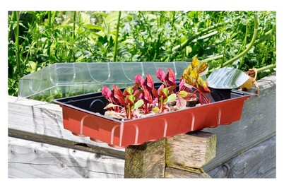 Image of Windhager Zimmer-Treibhaus mit 24 Quelltabs bei JUMBO