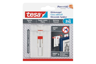 Image of Verstellbarer Klebenagel für Tapeten und Putz 2 kg bei JUMBO