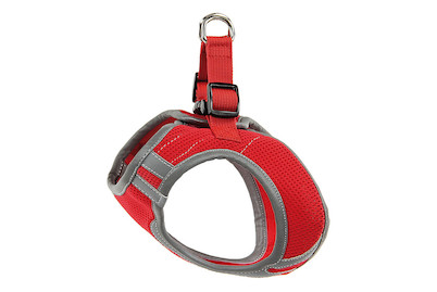 Image of swisspet Geschirr Tp1, M, rot bei JUMBO