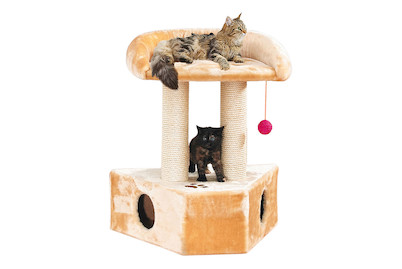 Image of Swisspet Wand Kratzbaum Samanta, beige bei JUMBO