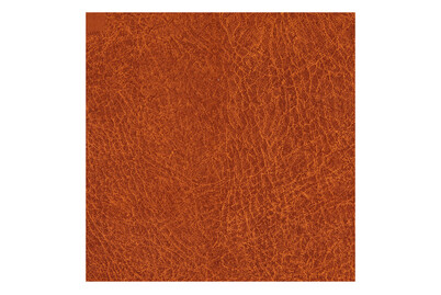 Image of Dekorfolie Leather bei JUMBO
