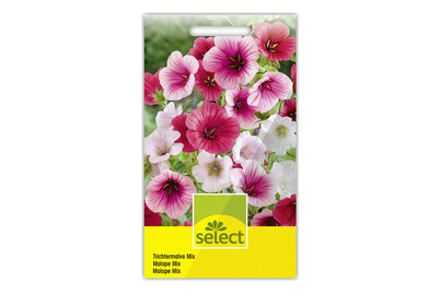 Image of Select Trichtermalve Mix bei JUMBO