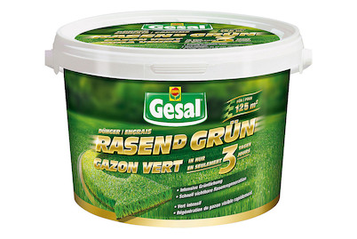 Image of Gesal Rasen D grün bei JUMBO