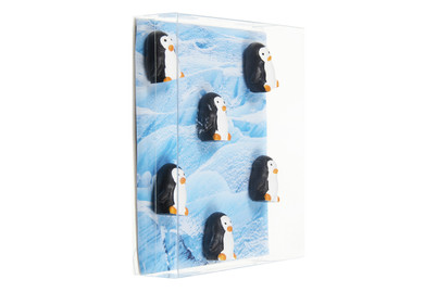 Image of Magnete 6er-Set Pingu bei JUMBO