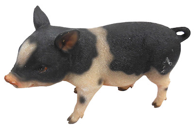 Image of Home and More Ferkel Babe bei JUMBO