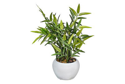 Image of Künstlicher Bambus im Topf bei JUMBO