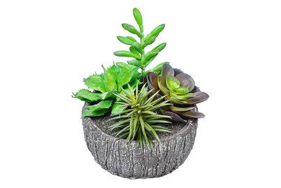 Image of Künstliche Mischung aus Sukkulenten bei JUMBO