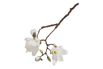 Image of Künstliche Magnolia weiss bei JUMBO