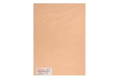 Image of Tonkarton 50x70CM apricot bei JUMBO