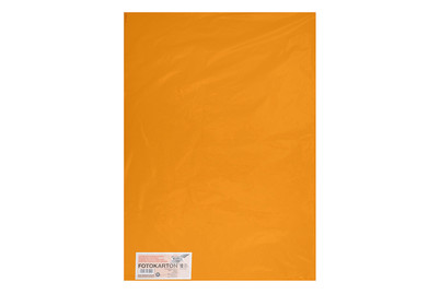 Image of Tonkarton 50x70CM ocker bei JUMBO