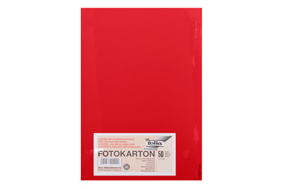 Image of Tonkarton A4 hibiscus bei JUMBO